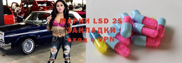 дурь Богданович