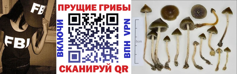 Галлюциногенные грибы мухоморы  Купить где  Кологрив 