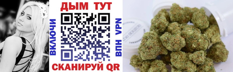 Купить где  Кологрив  Конопля семена 